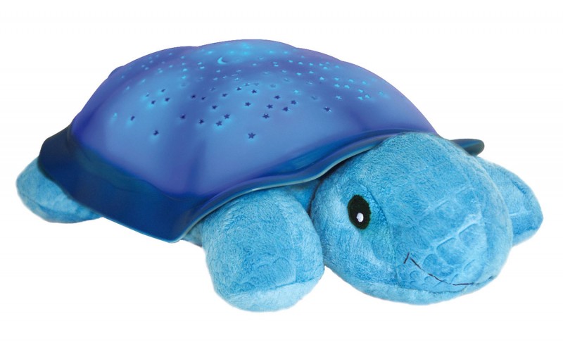 Twilight Turtle  Blue